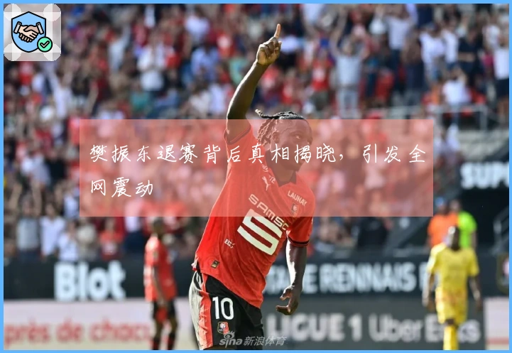樊振东退赛背后真相揭晓，引发全网震动
