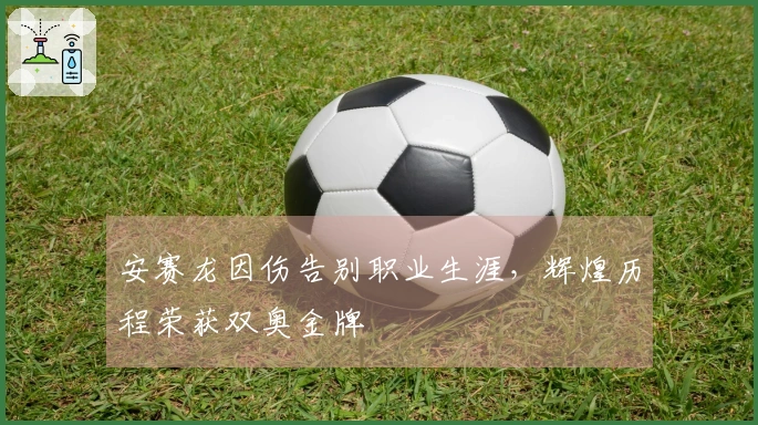 安赛龙因伤告别职业生涯，辉煌历程荣获双奥金牌