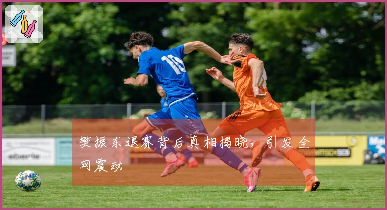 樊振东退赛背后真相揭晓，引发全网震动