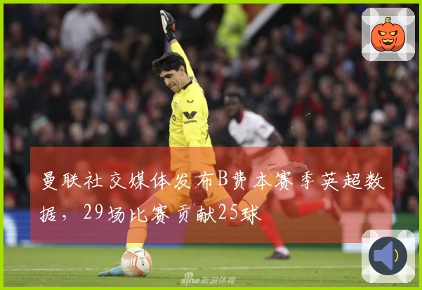 曼联社交媒体发布B费本赛季英超数据，29场比赛贡献25球