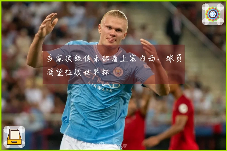 多家顶级俱乐部看上塞内西，球员渴望征战世界杯